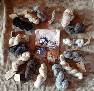 heritage-sheep-breeds